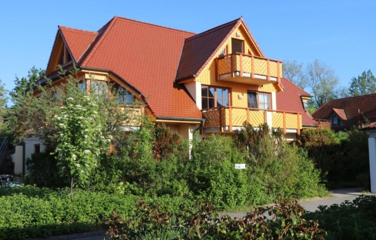 Oewern Diek Wustrow  Buitenkant foto